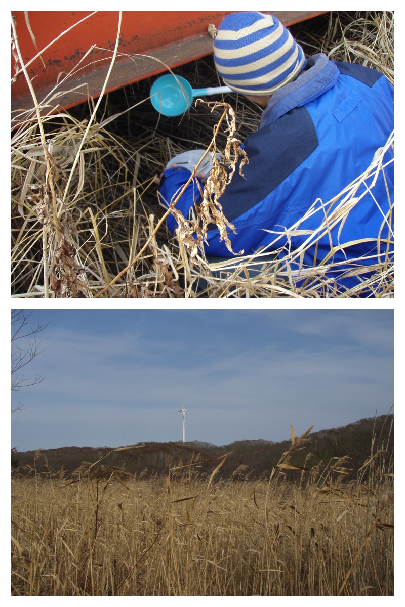2007_1126_Kiritappu_9