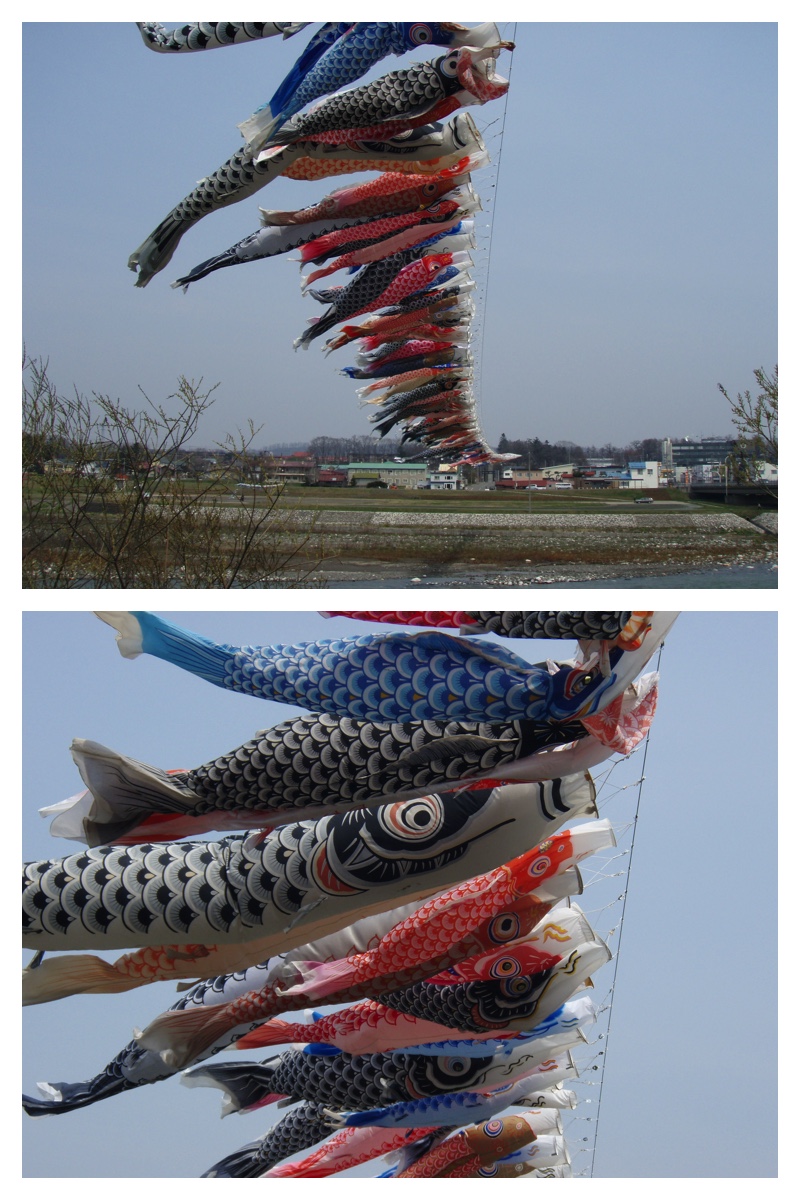 2008_0427_Toyoni_1