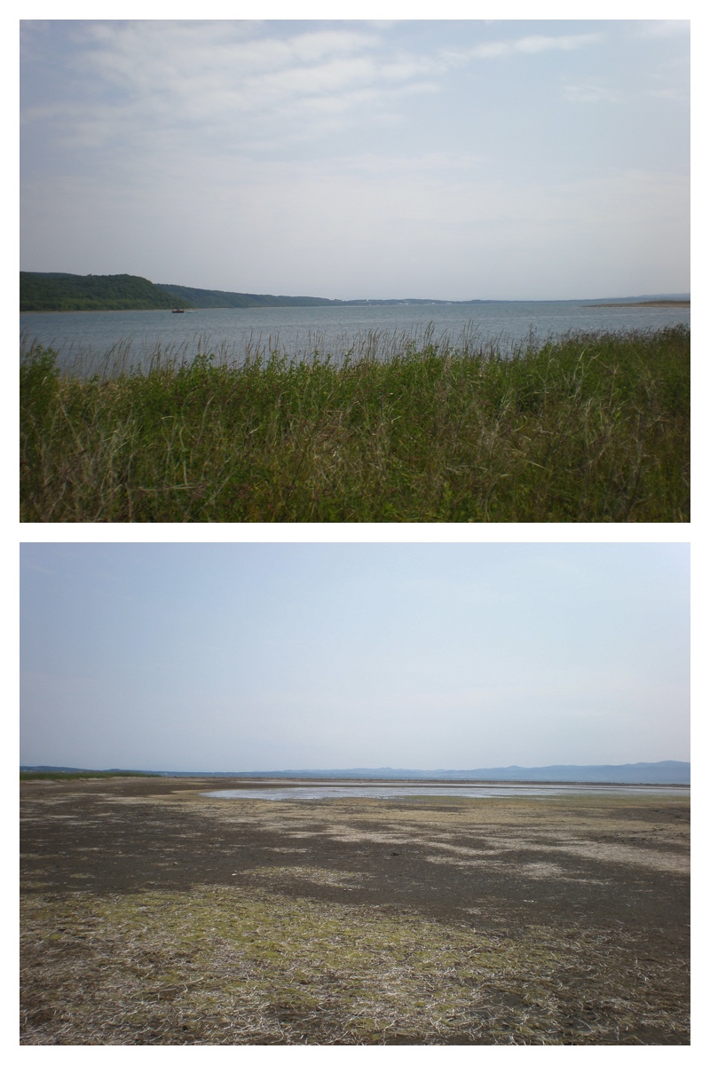 2008_0701_Tokoro_3
