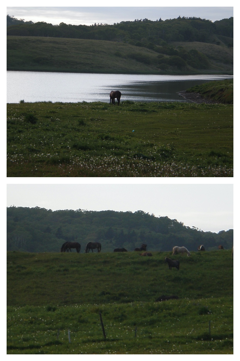 2008_0701_Tokoro_36