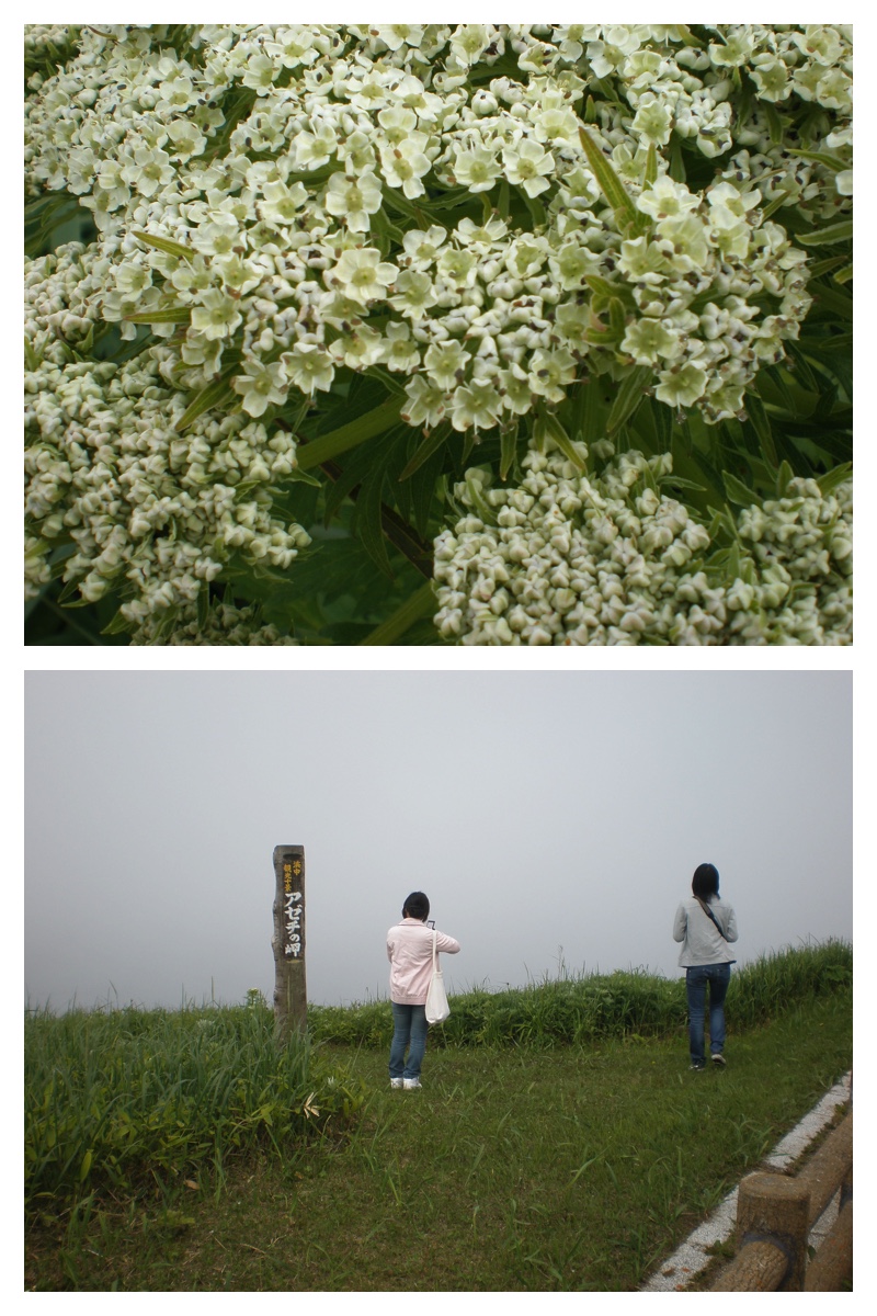 2008_0701_Tokoro_45