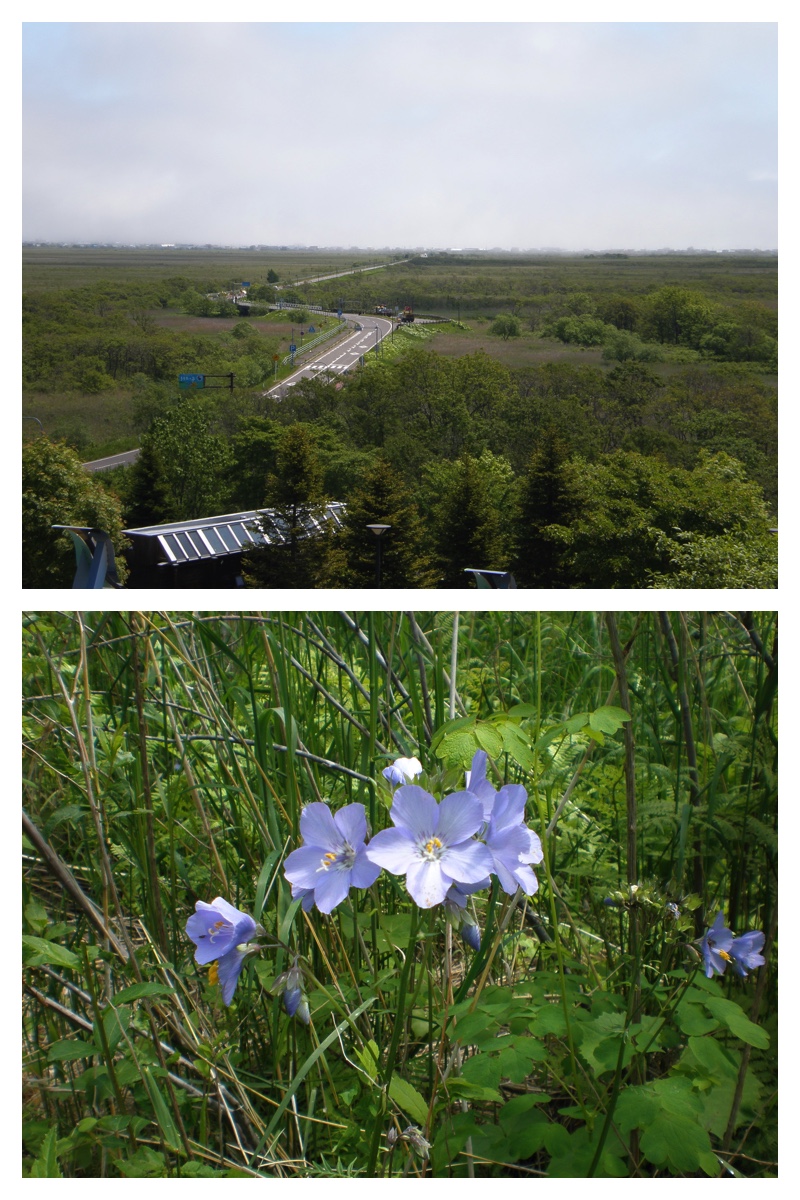 2008_0701_Tokoro_49