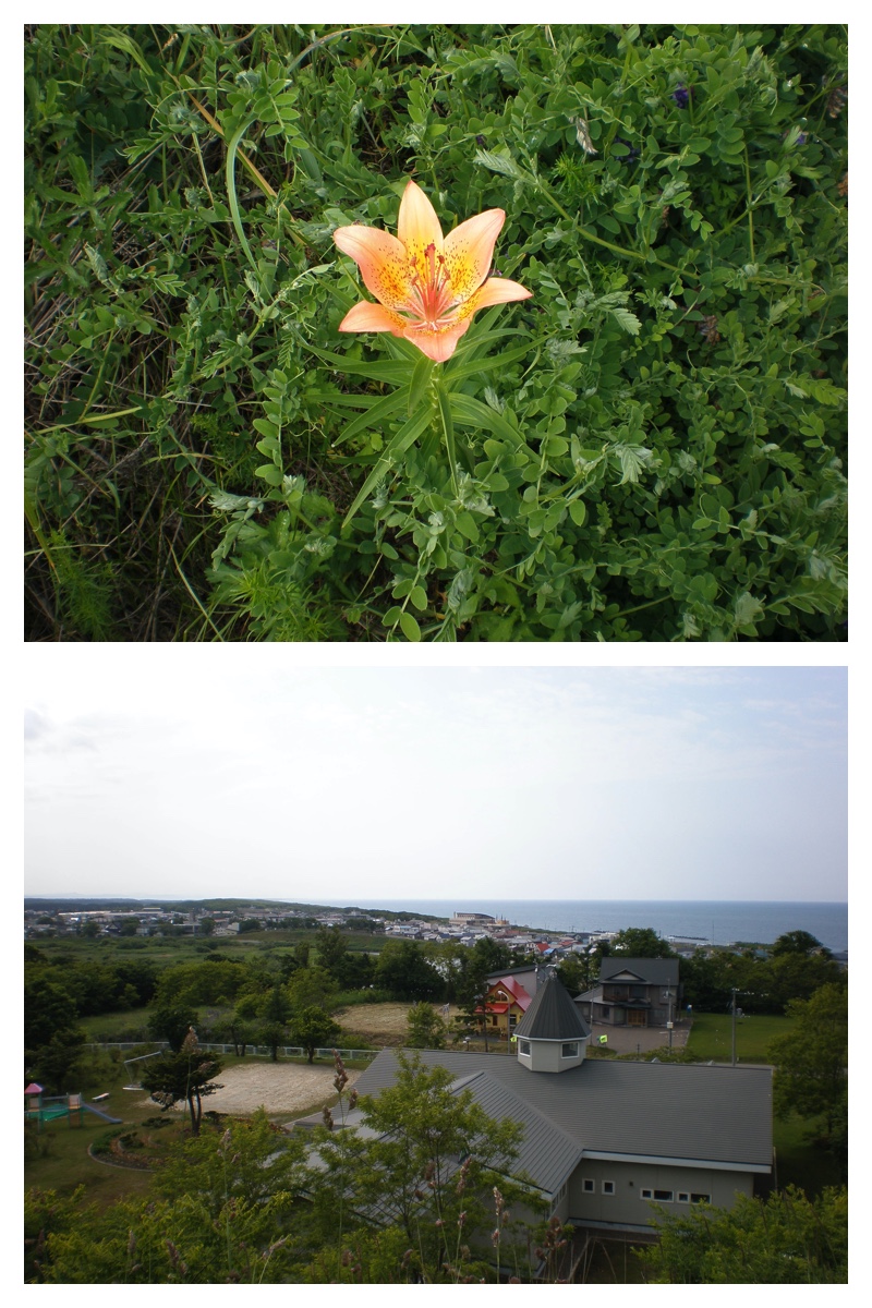 2008_0701_Tokoro_6