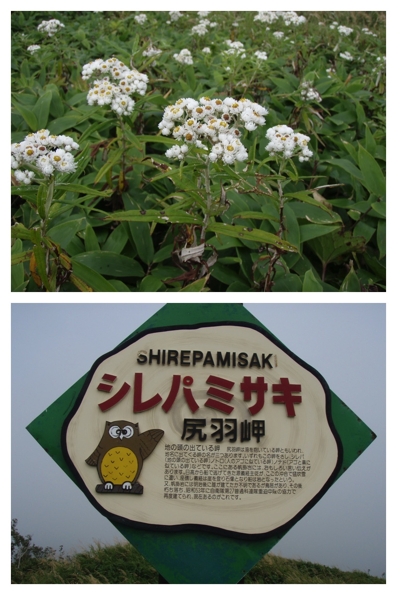 2009_0904_Tsutsumi_19