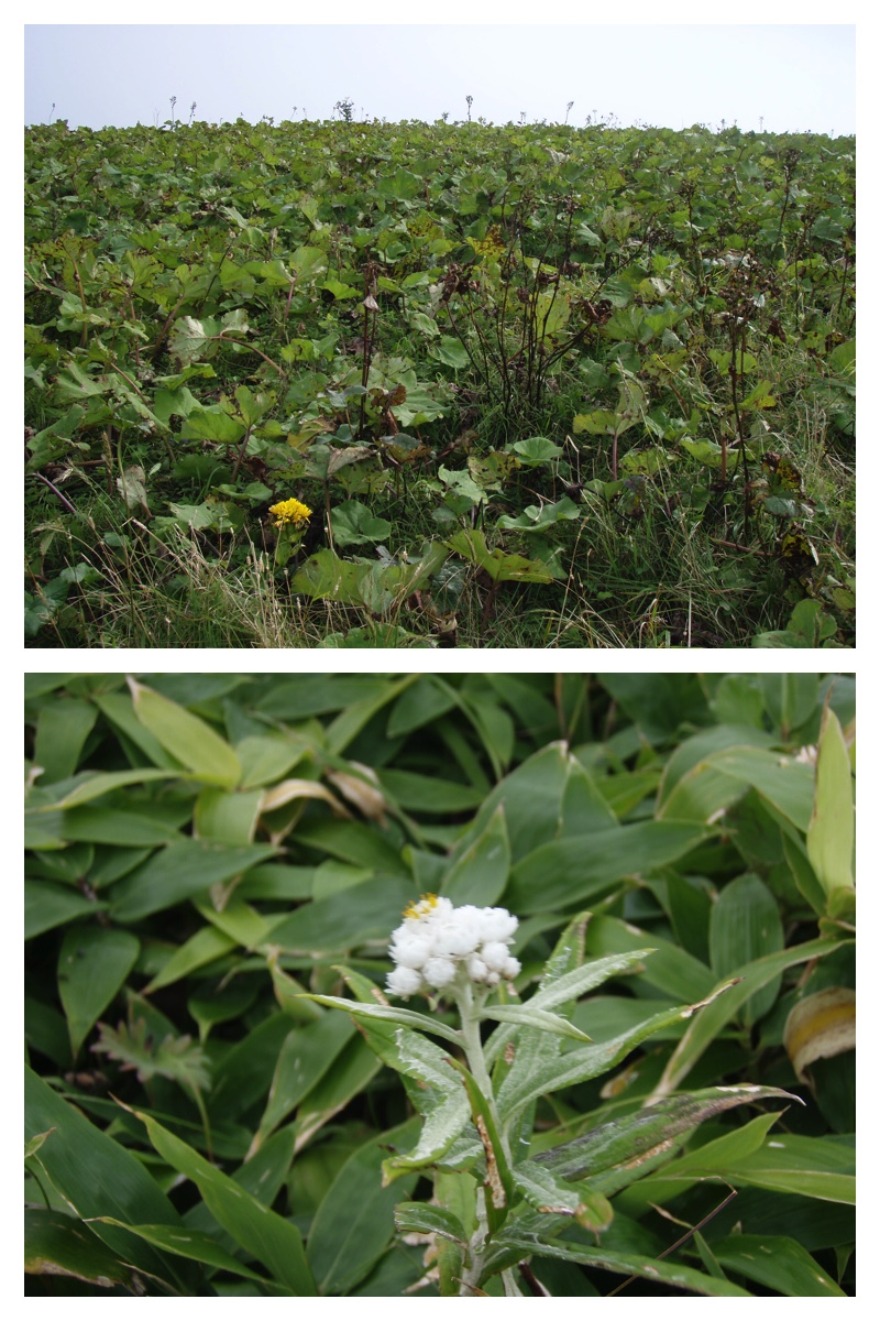 2009_0904_Tsutsumi_24