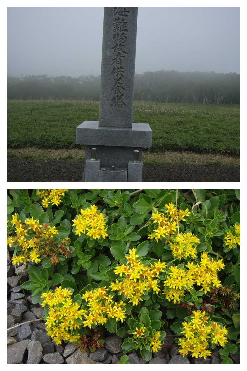 2009_0904_Tsutsumi_25
