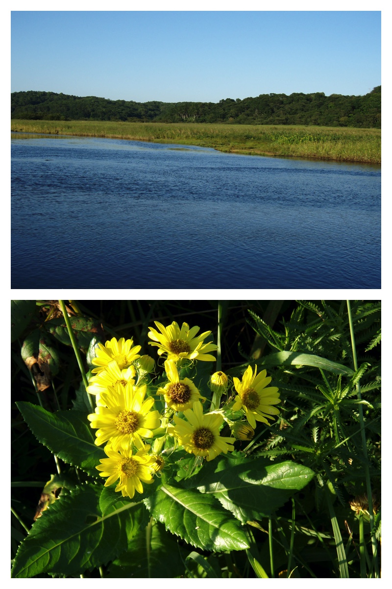 2009_0904_Tsutsumi_5