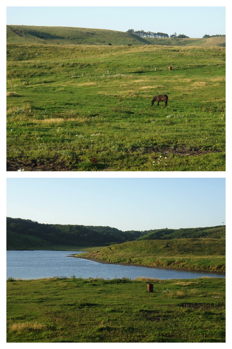 2009_0904_Tsutsumi_8