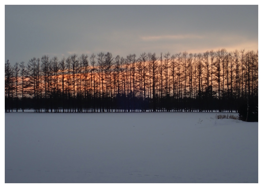 Set_8_1
