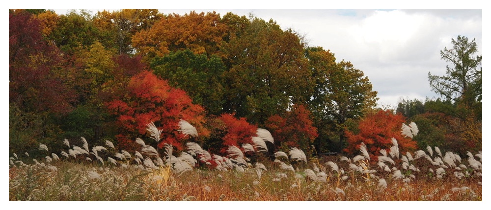 2026_Oct_cover