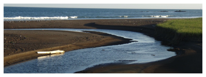 Wetland_2009_cover