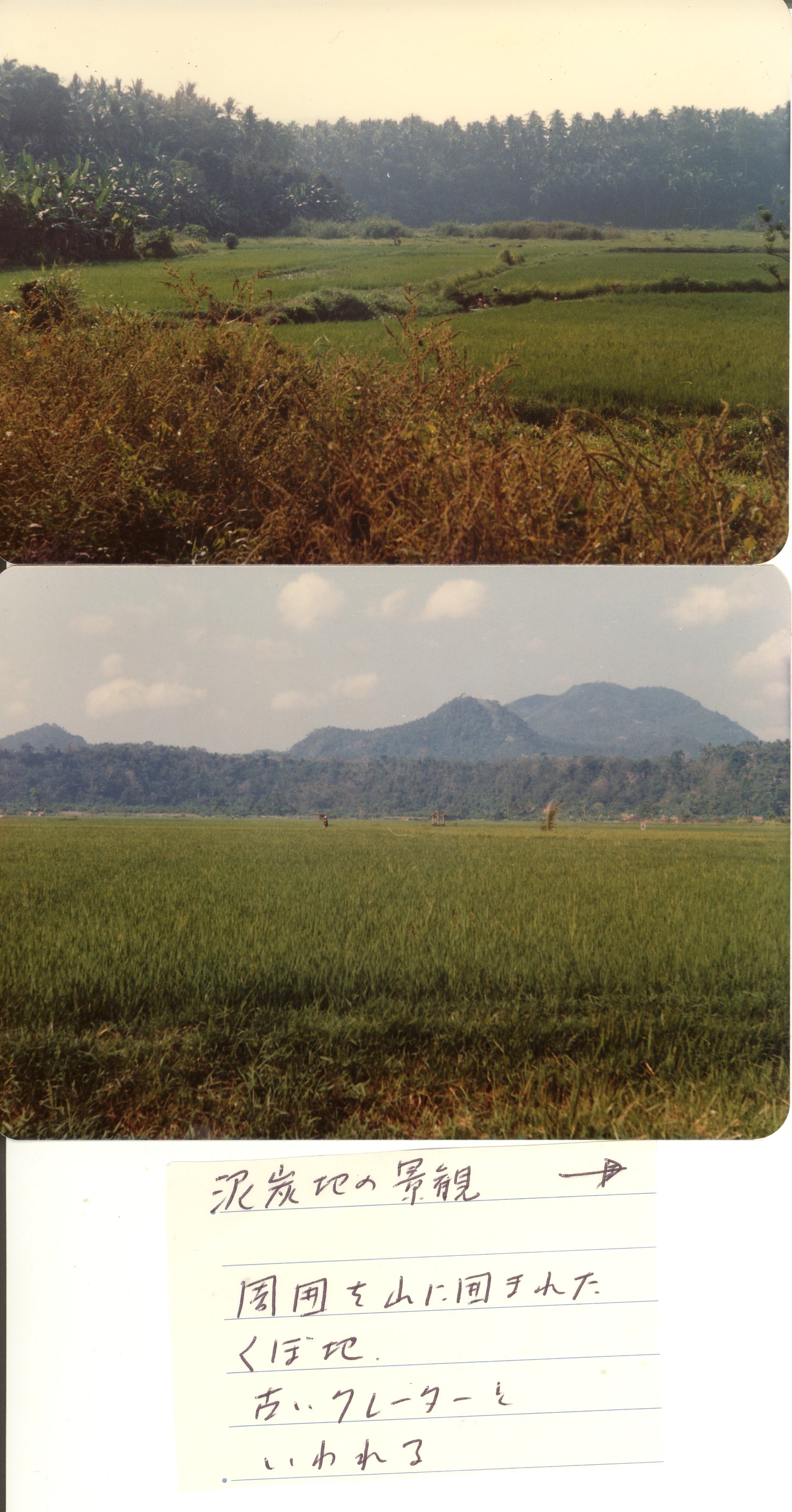 IRRI-field-03