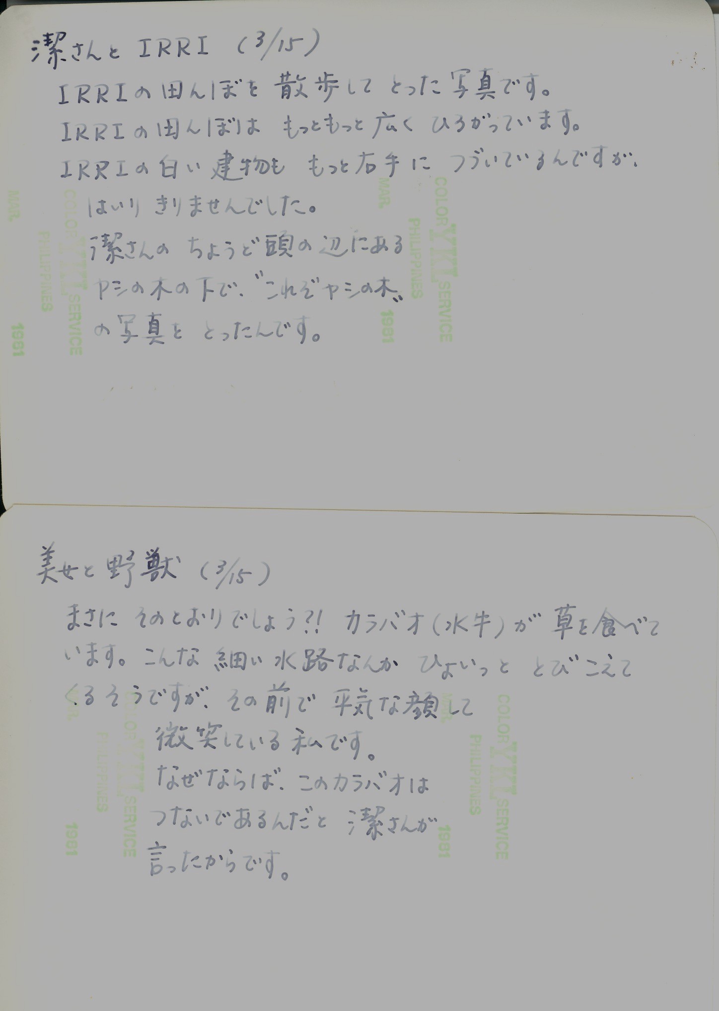 IRRI1981-14-exp